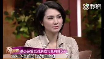 洪欣父亲背景,揭秘豪门家族的崛起之路