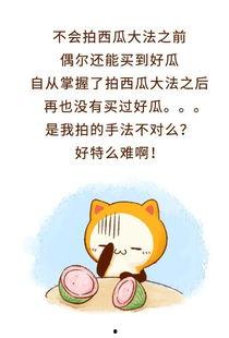 做一个吃瓜群众的说说,吃瓜群众视角下的娱乐圈风云录