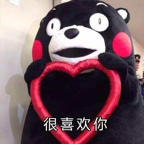 熊本熊壁咚表情包,萌化瞬间，治愈心灵