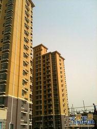 林苑图片 个人资料